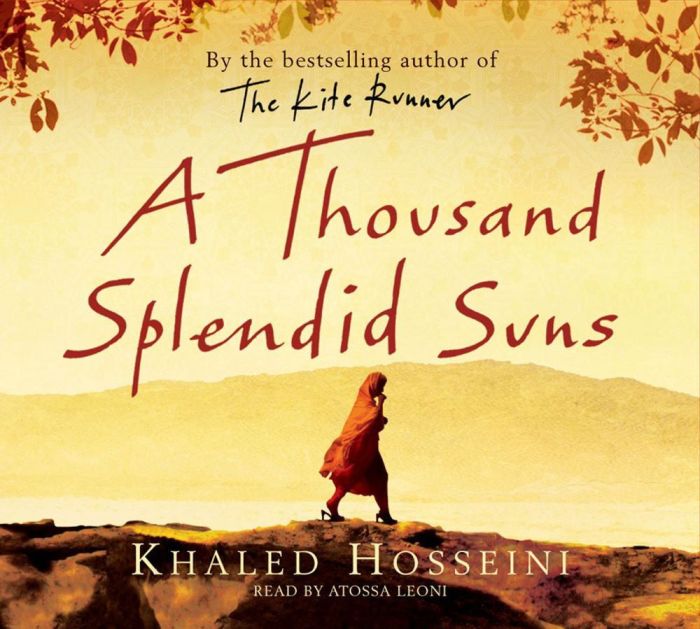 A thousand splendid suns quiz