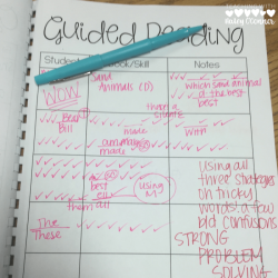 Guided reading anecdotal notes examples