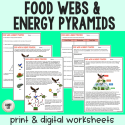 Food webs and energy pyramids worksheet answers