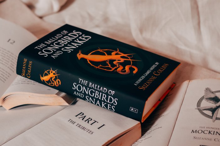 Ballad of songbirds and snakes chapter summary